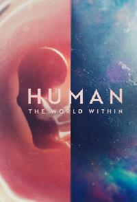 Human The World Within